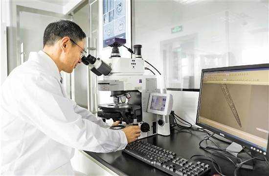 人工智能賦能國門生物安全 寧波海關上線松材線蟲智能識別軟件